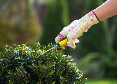 Professional landscapers working on a garden design in Hayes