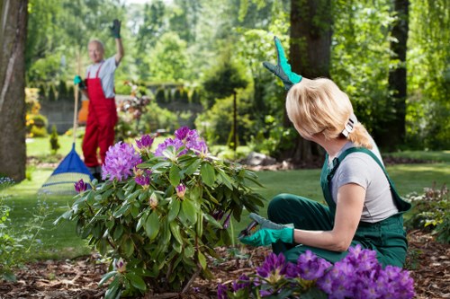 Healthy green lawn care in Hayes with neat mowing