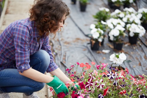 Landscapers Hayes clear pricing and quote information with garden waste removal
