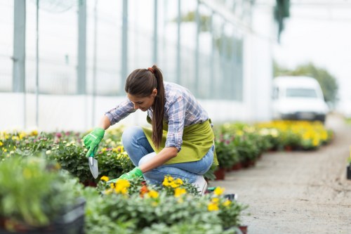 Image representing screen-reader friendly content for a Hayes landscaping service