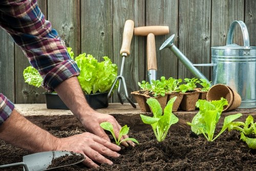 Landscape planting installation for homes in Hayes