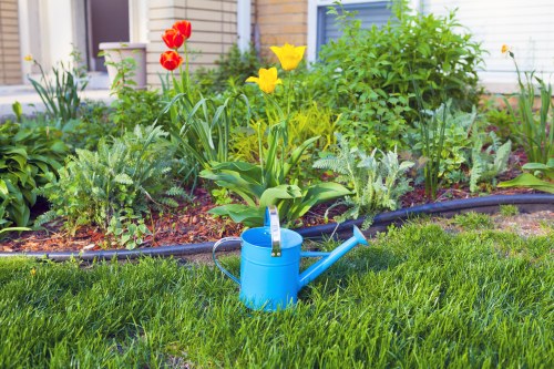 Local planting services in Hayes with shrubs and seasonal flowers