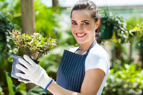 Seasonal and low-maintenance planting services in Hayes