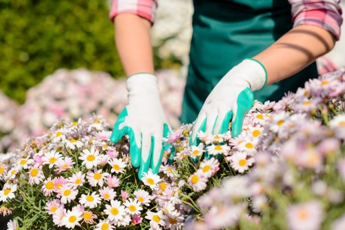 Accepted payment methods for Landscapers Hayes including card and online options