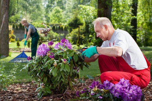 Landscaping team working safely with tools and waste management