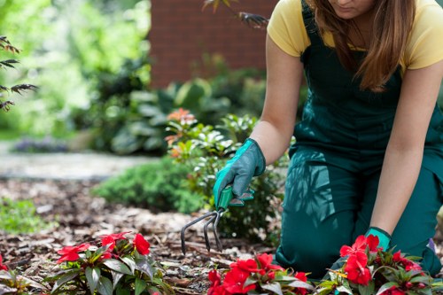 Annual review of anti-slavery controls for a Hayes landscaper