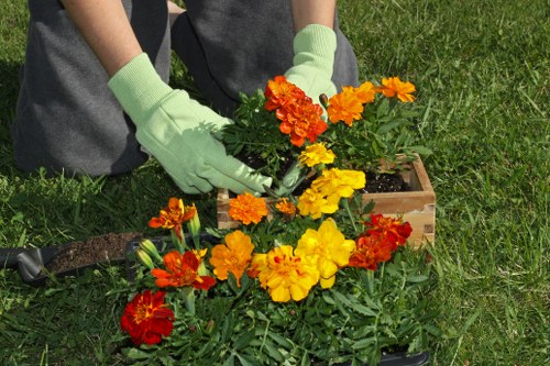 Outdoor landscaping risk assessment and safety controls