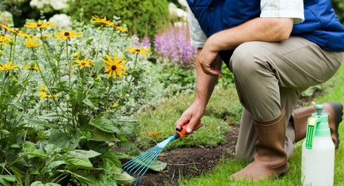 Free quote policy for Hayes landscaping and man and van services