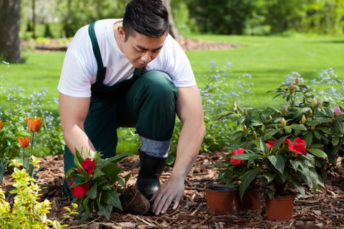 Professional arborist planning tree removal in Hayes