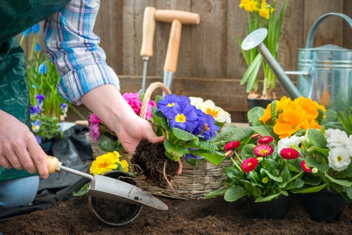 Inclusive design concept for local landscaping website access