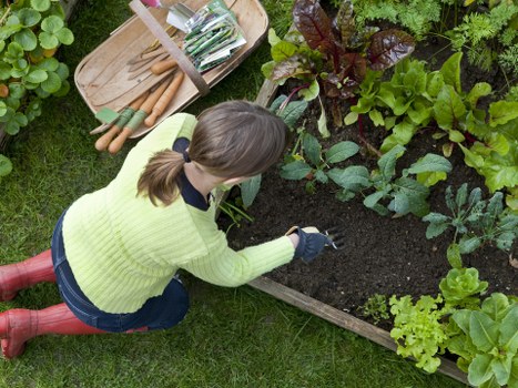 Garden planting design and soil preparation in Hayes