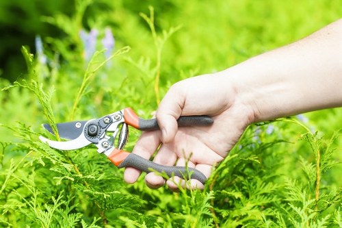 Local landscape gardeners in Hayes improving kerb appeal