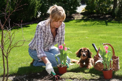 Family-friendly landscaped garden in Hayes with lawn and pathways