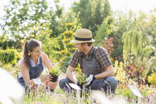 Landscape design planning and garden improvements in Hayes