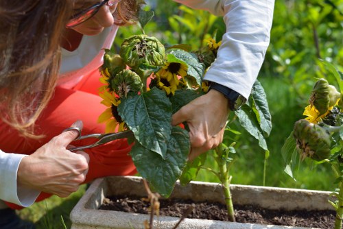 Supplier audit process for responsible landscaping supply chains